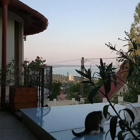 Szepkilatas Vendeghaz Balatonalmádi