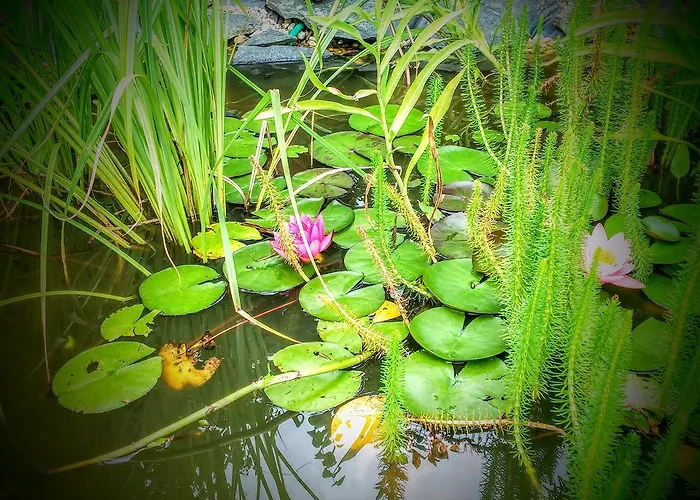 Vendégház Szépkilátás Balatonalmádi